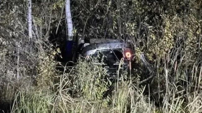 ДТП в Томской области, произошедшее после того, как на проезжую часть вышел медведь