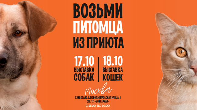 Афиша благотворительного фестиваля-пристройства WOOF 