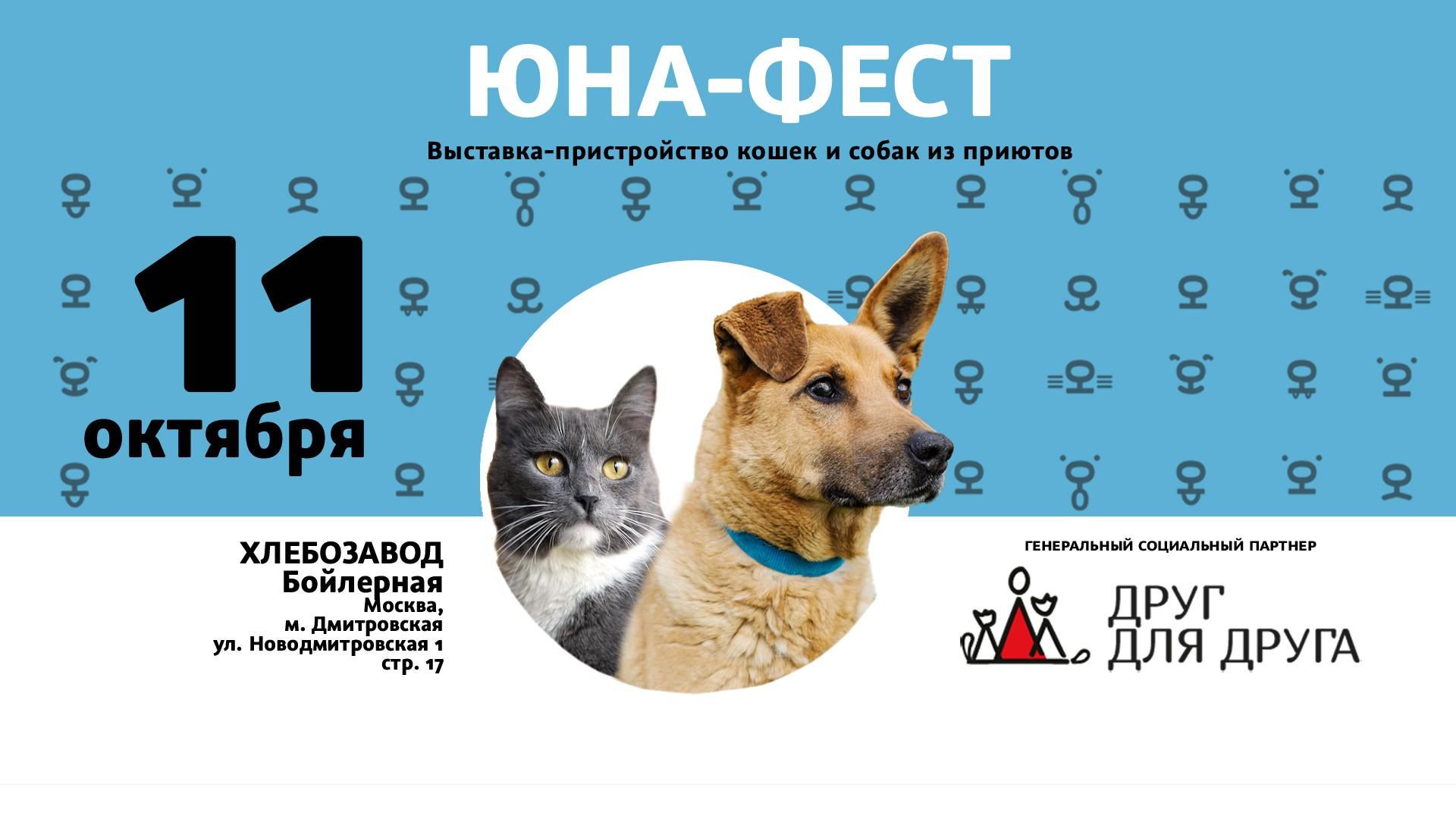 Афиша выставки-пристройства животных из приюта Афиша выставки-пристройства животных из приюта - РИА Новости, 1920, 07.10.2026