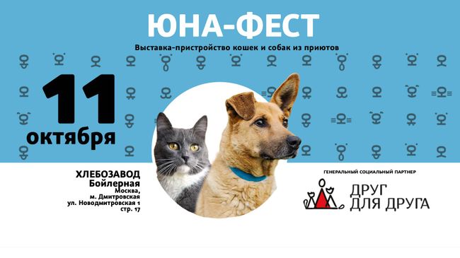 Афиша выставки-пристройства животных из приюта Афиша выставки-пристройства животных из приюта