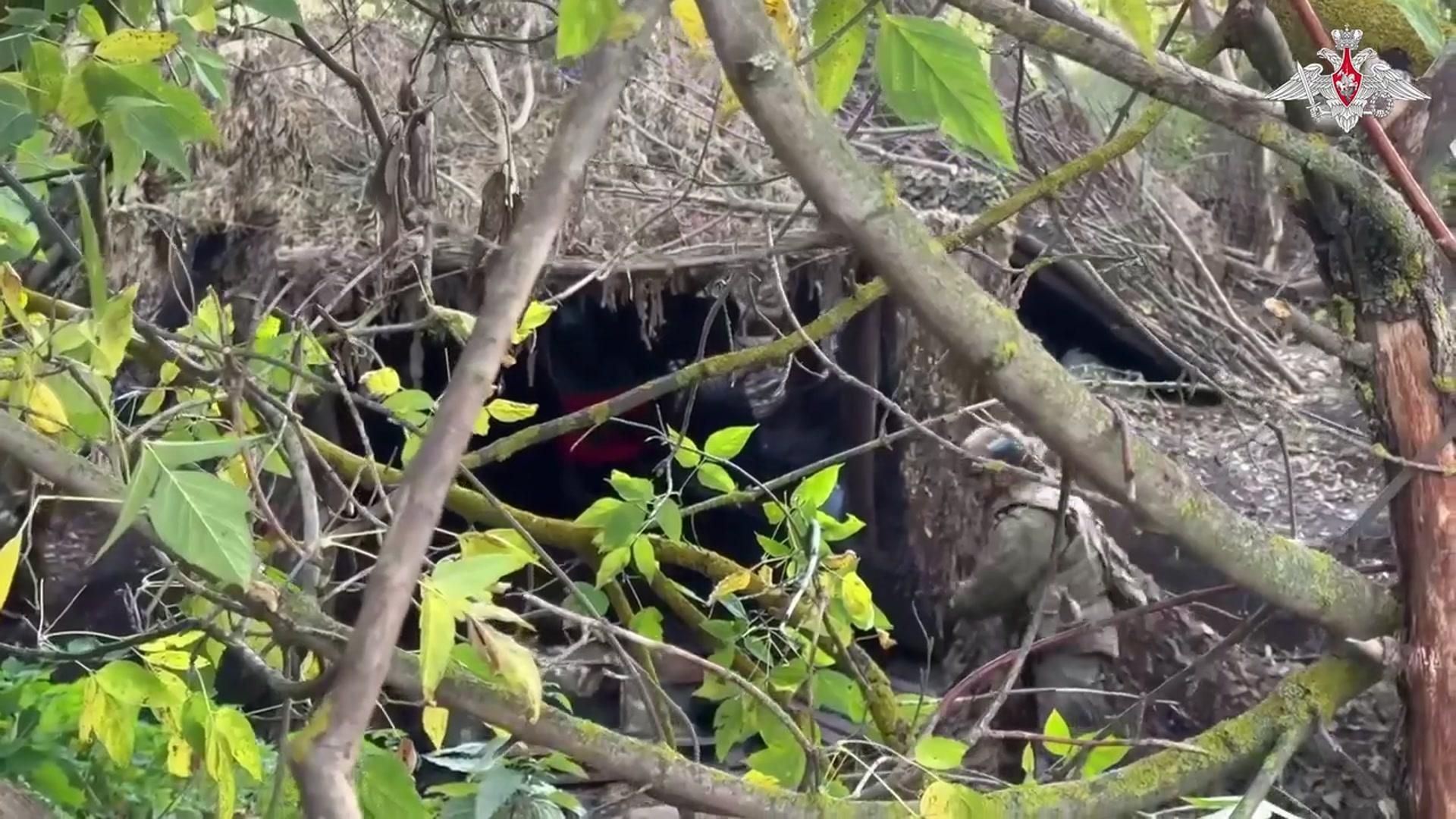 Взятие под контроль населенного пункта Аннополье в Харьковской области Взятие под контроль населенного пункта Аннополье в Харьковской области - РИА Новости, 1920, 08.10.2026