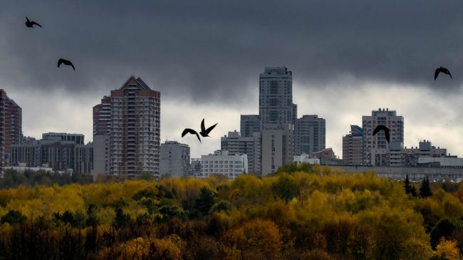 Жилые дома в Москве