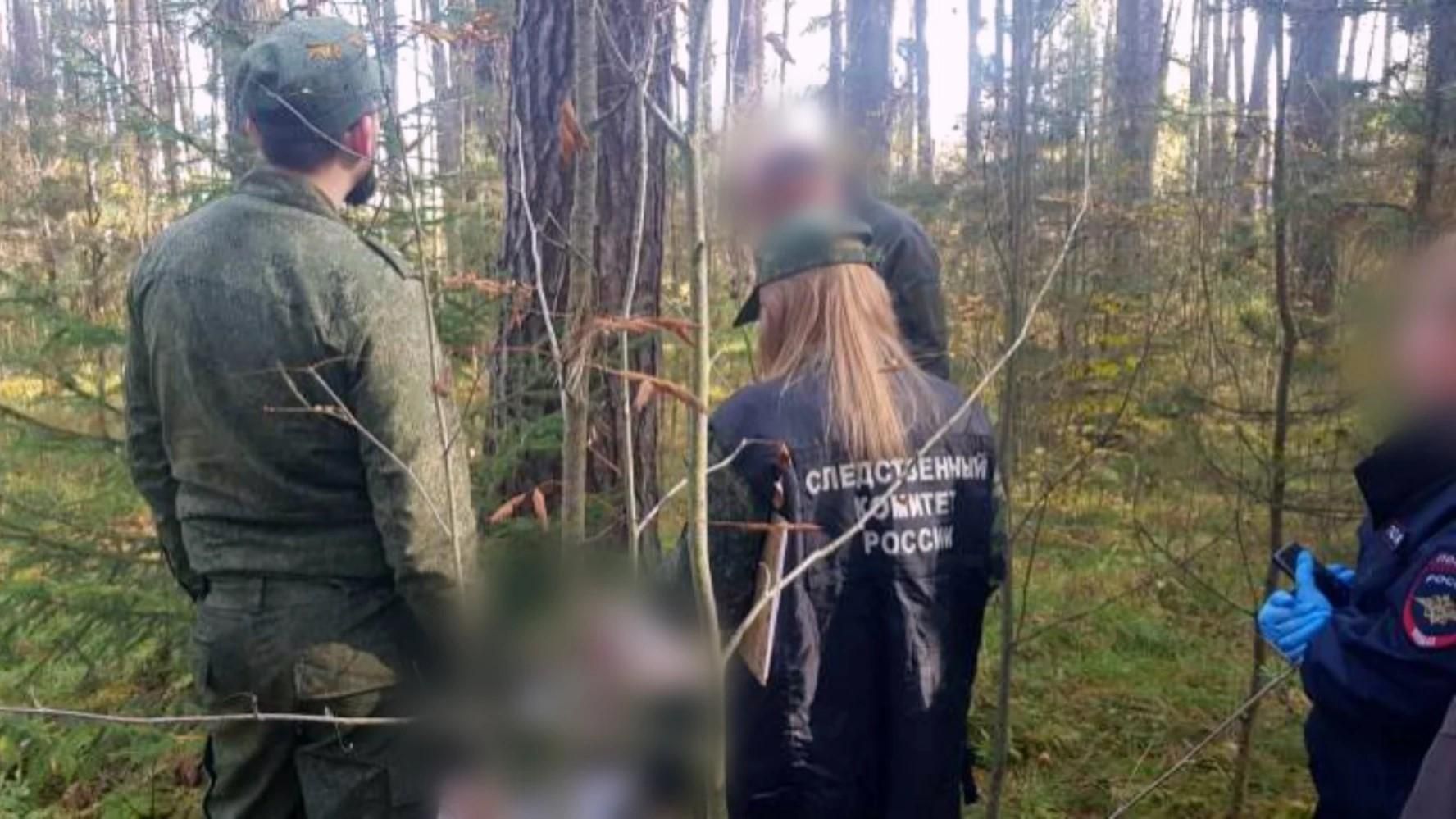 Следственные мероприятия на месте обнаружения тела девушки в Судогде Владимирской области Следственные мероприятия на месте обнаружения тела девушки в Судогде Владимирской области - РИА Новости, 1920, 12.10.2026
