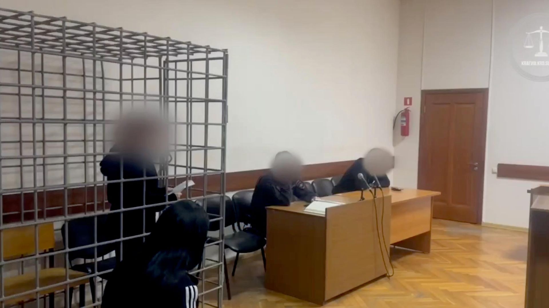 На Кубани осудили женщину за убийство младенца и завели дело после нападения собак