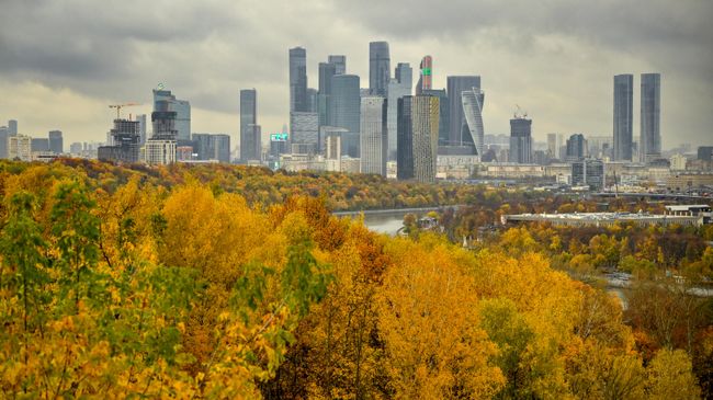 Синоптик рассказала о погоде на выходных в Москве