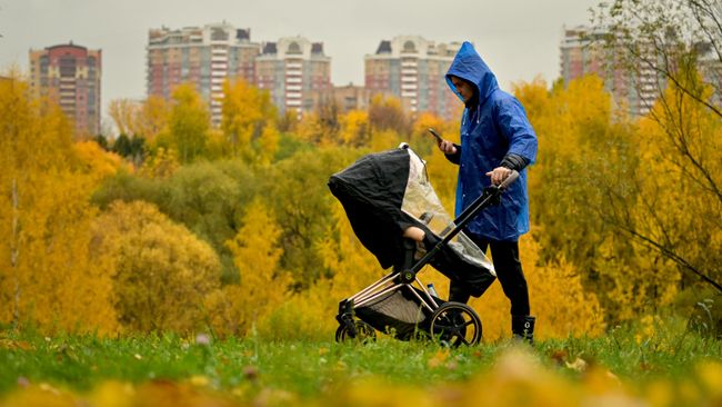 Едиными пособиями в 2027 году охватят восемь миллионов российских детей
