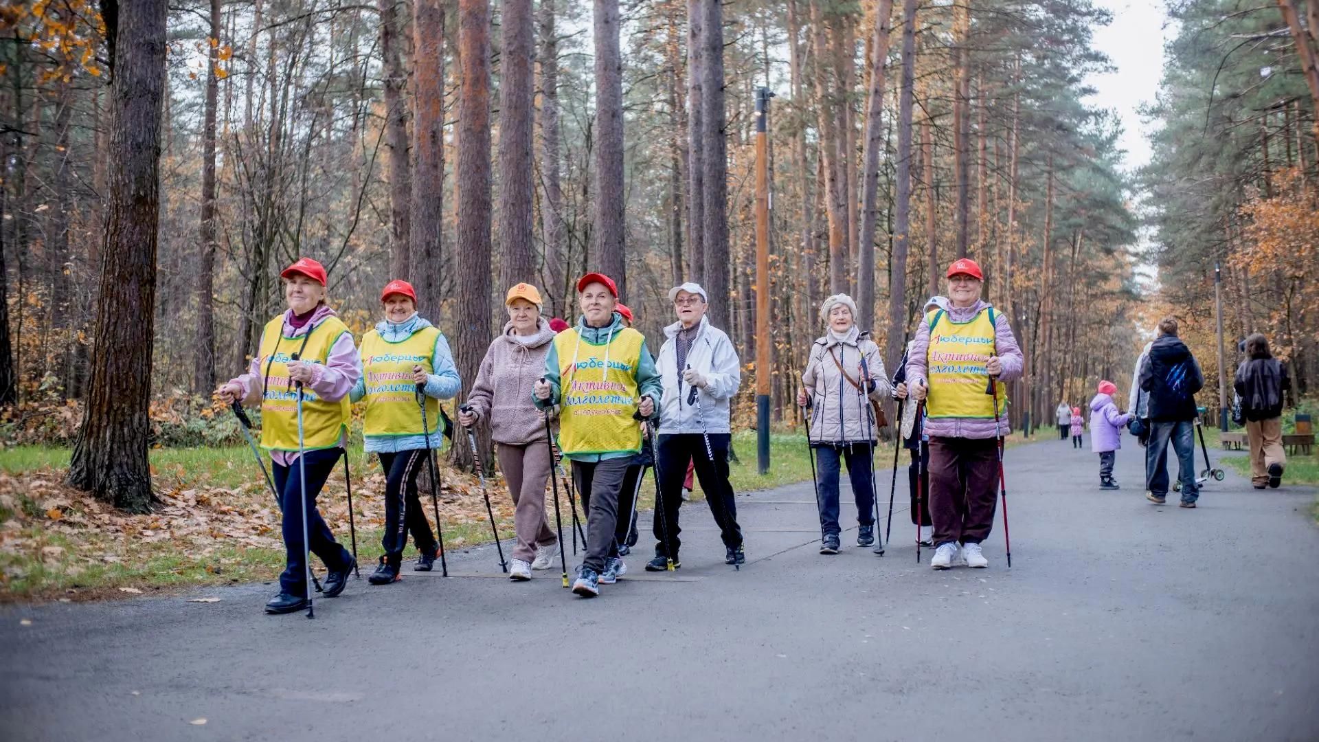 Лесопарк Лесная опушка в подмосковных Люберцах Лесопарк Лесная опушка в подмосковных Люберцах - РИА Новости, 1920, 19.10.2026