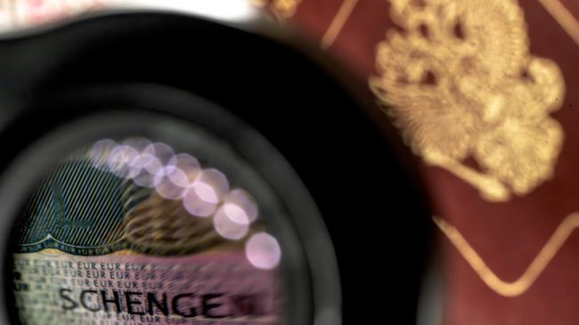 Германия почти в три раза сократила выдачу долгосрочных виз россиянам