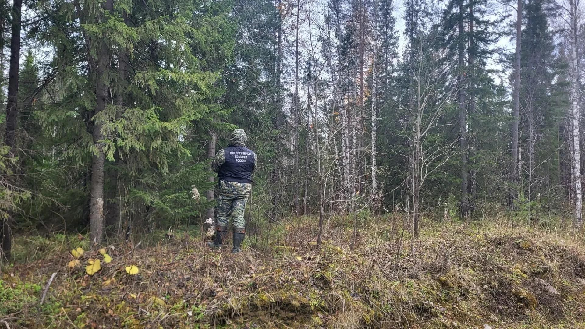 Сотрудник СК на месте нападения медведя возле поселка Пинега Архангельской области Сотрудник СК на месте нападения медведя возле поселка Пинега Архангельской области - РИА Новости, 1920, 20.10.2026