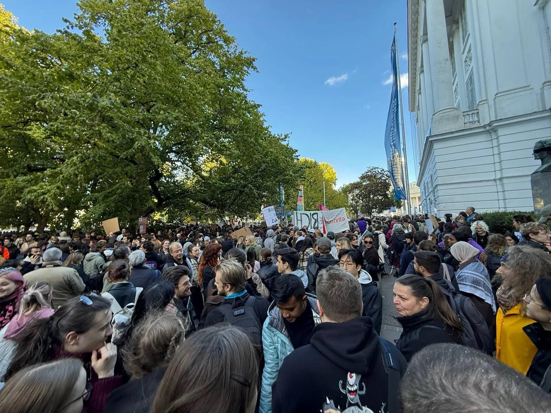 Демонстрация против сокращения финансирования университетов в Вене - РИА Новости, 1920, 22.10.2026