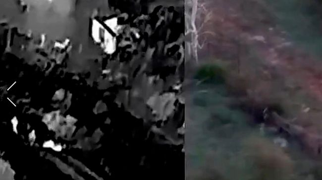 Боевики ВСУ расстреляли раненого сослуживца. Видео с БПЛА