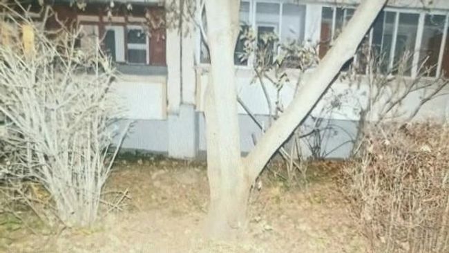 Многоэтажка в Зеленограде, рядом с которой был найден младенец