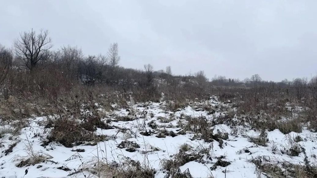 Пропавшую в Ачинске девушку нашли погибшей