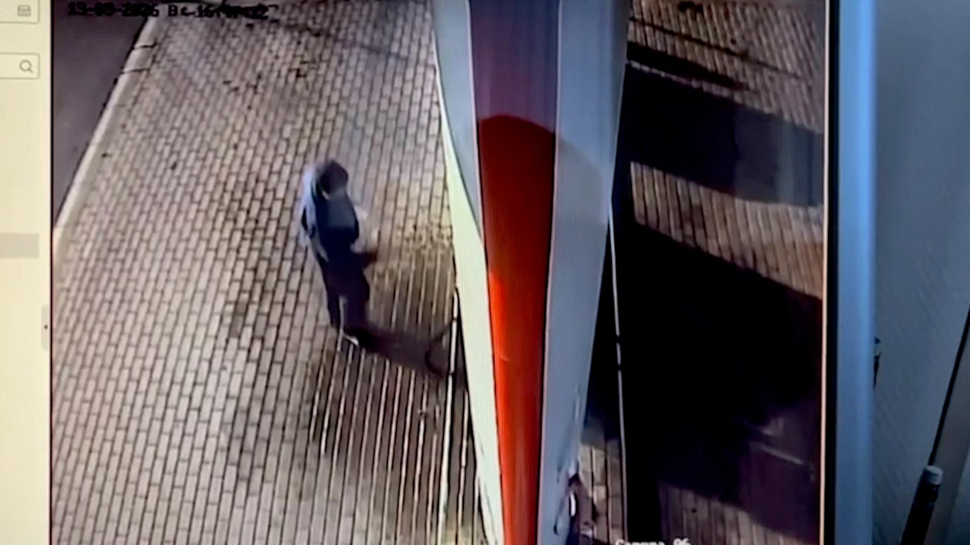 Киевские кураторы под видом девушек вербуют пользователей Дайвинчика - РИА Новости, 1920, 29.10.2026