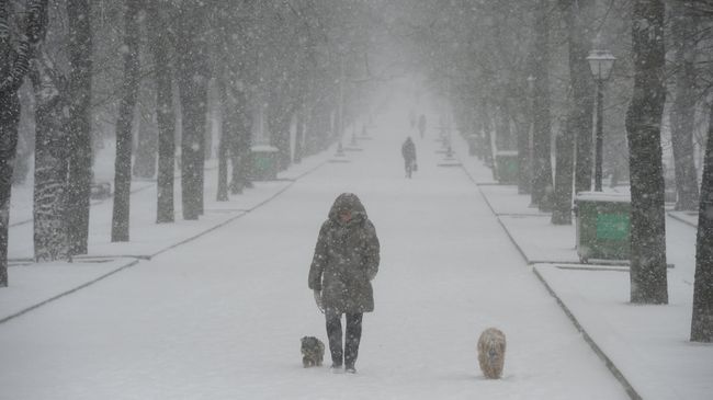 Снегопад