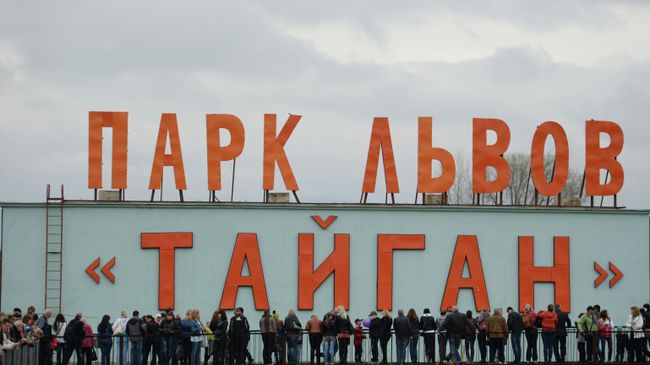 Парк львов Тайган в Крыму. Архивное фото Парк львов Тайган в Крыму. Архивное фото