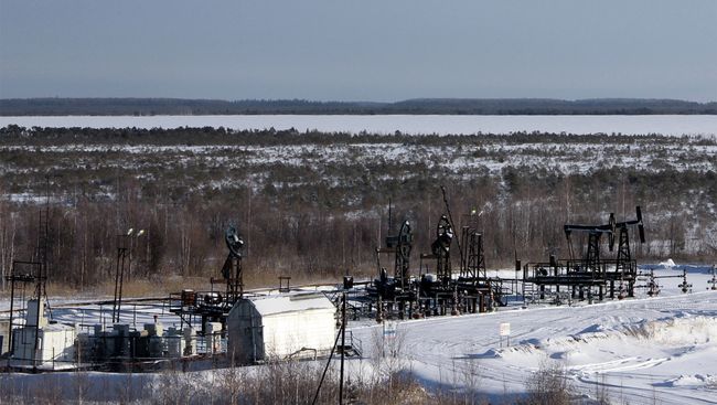 Западно-Останинское месторождение в Томской области