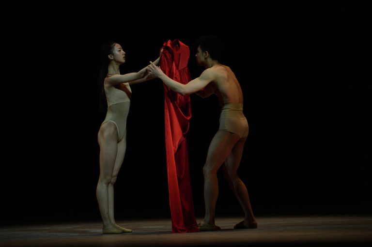 Церемония вручения международного приза Benois de la Danse Церемония вручения международного приза Benois de la Danse