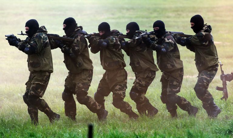 Показательные выступления спецназа после церемонии открытия памятника, посвященного операции Багратион, в деревне Раковичи Светлогорского района Гомельской области