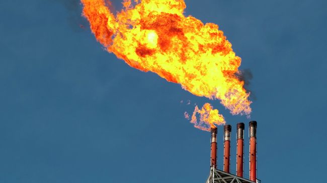 На территории первого в России завода по производству сжиженного газа. Архивное фото На территории первого в России завода по производству сжиженного газа. Архивное фото
