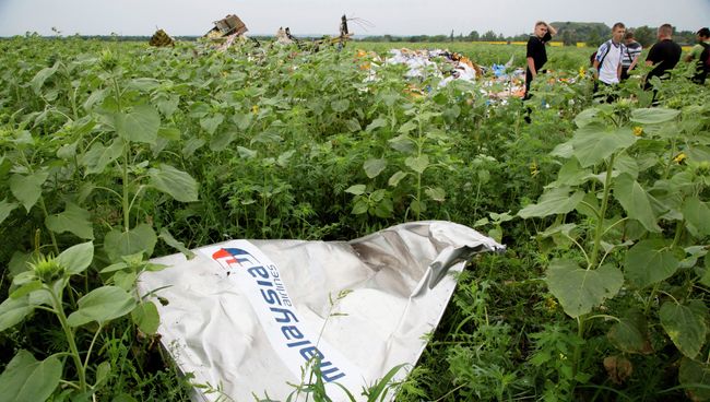 Крушение малайзийского Boeing на Украине. Архивное фото