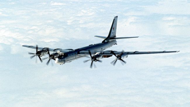Стратегический бомбардировщик ТУ-95 Стратегический бомбардировщик ТУ-95