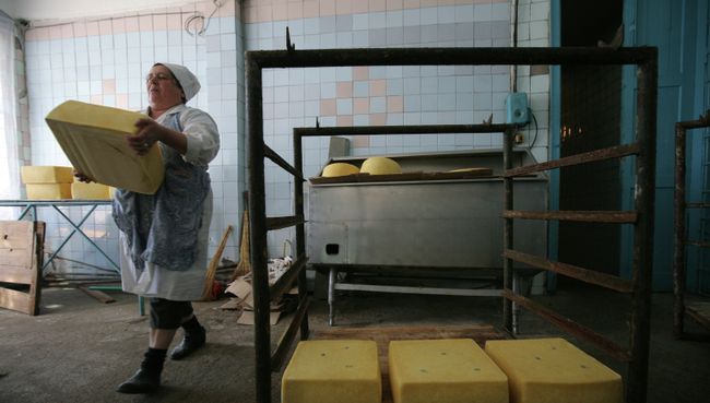 Работница несёт головку сыра. Архивное фото Работница несёт головку сыра. Архивное фото