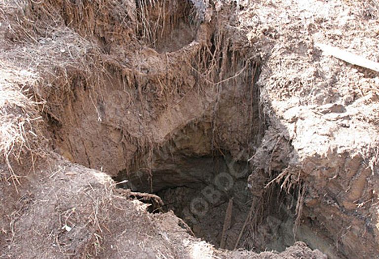 РИА Новости. Фото Максима Богодвида РИА Новости. Фото Максима Богодвида