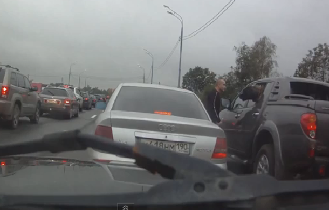 За хозяина отвечу: как собака пообщалась с хамом на дороге
