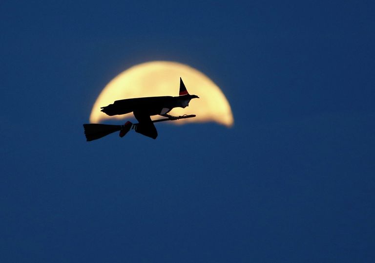 Радиоуправляемая летающая ведьма на фоне луны Радиоуправляемая летающая ведьма на фоне луны