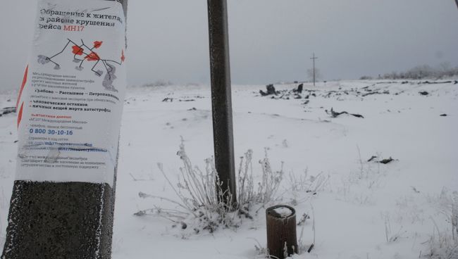 На месте крушения малайзийского Boeing 777 в окрестностях деревни Грабово. Архивное фото На месте крушения малайзийского Boeing 777 в окрестностях деревни Грабово. Архивное фото