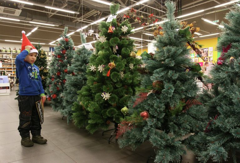 Мальчик в новогоднем колпачке осматривает искусственные новогодние елки