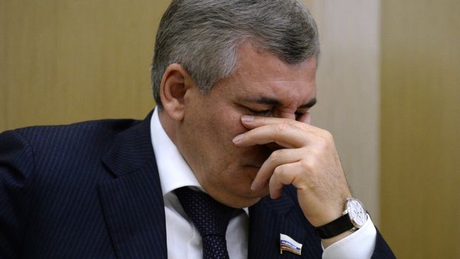 Член комитета Совета Федерации РФ по экономической политике Евгений Тарло. Архивное фото