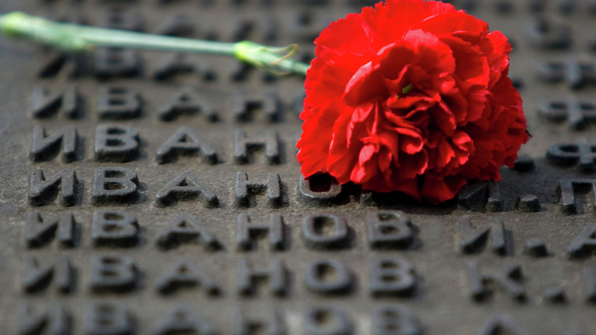 Цветок на мемориале памяти погибших в ВОВ - РИА Новости, 1920, 19.04.2025