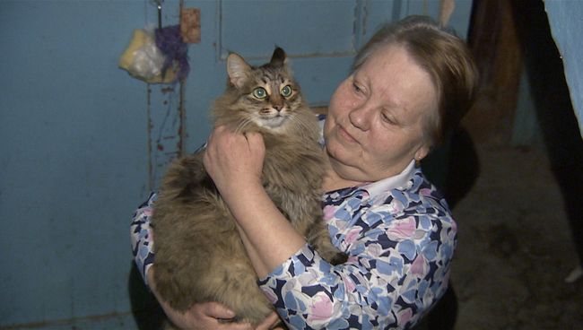 Кошка-героиня из Обнинска, или Кто спас брошенного в подъезде младенца Кошка-героиня из Обнинска, или Кто спас брошенного в подъезде младенца