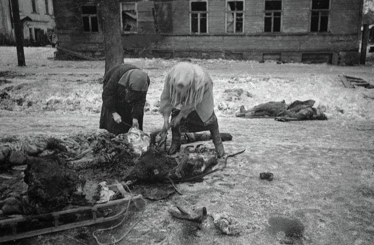 Блокадный Ленинград. Женщины собирают останки убитой лошади и грузят на сани, чтобы потом использовать мясо в пищу