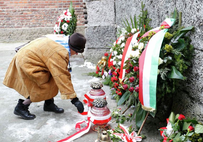 Памятные мероприятия на территории бывшего нацистского концлагеря Аушвиц-Биркенау Памятные мероприятия на территории бывшего нацистского концлагеря Аушвиц-Биркенау