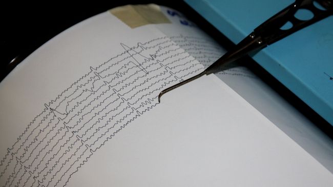 Сейсмограф Сейсмограф