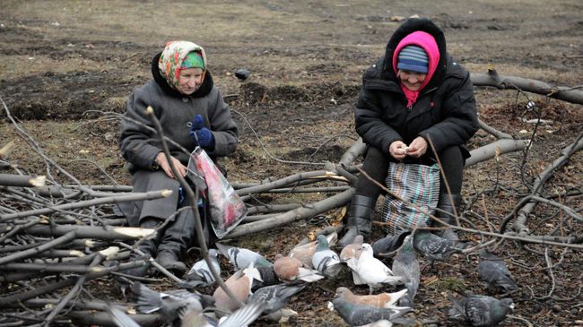 Пожилые женщины кормят голубей на одной из улиц в Дебальцево, Украина Пожилые женщины кормят голубей на одной из улиц в Дебальцево, Украина