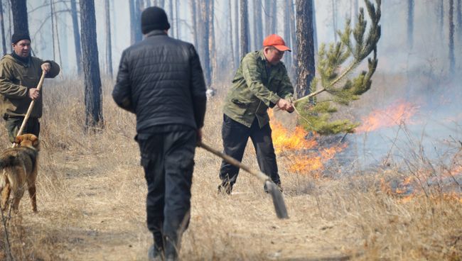 Добровольцы тушат лесной пожар в Читинском районе Добровольцы тушат лесной пожар в Читинском районе