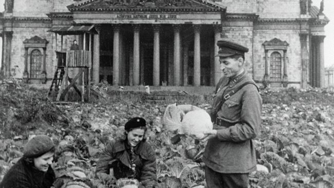 Двое советских воинов и жительница блокадного Ленинграда убирают урожай капусты на огороде у Исаакиевского собора Двое советских воинов и жительница блокадного Ленинграда убирают урожай капусты на огороде у Исаакиевского собора