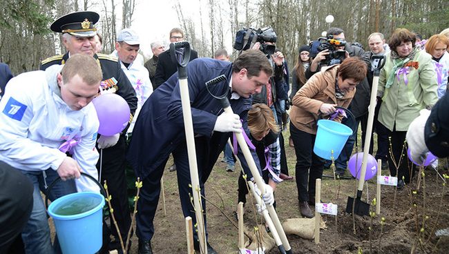 В Смоленске появилась аллея сирени к 70-летию Победы В Смоленске появилась аллея сирени к 70-летию Победы