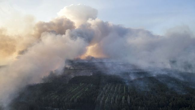 Вид с вертолета на пожар в Чернобыльской пуще