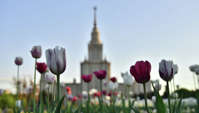 Вид на Главное здание МГУ. Архивное фото Вид на Главное здание МГУ. Архивное фото
