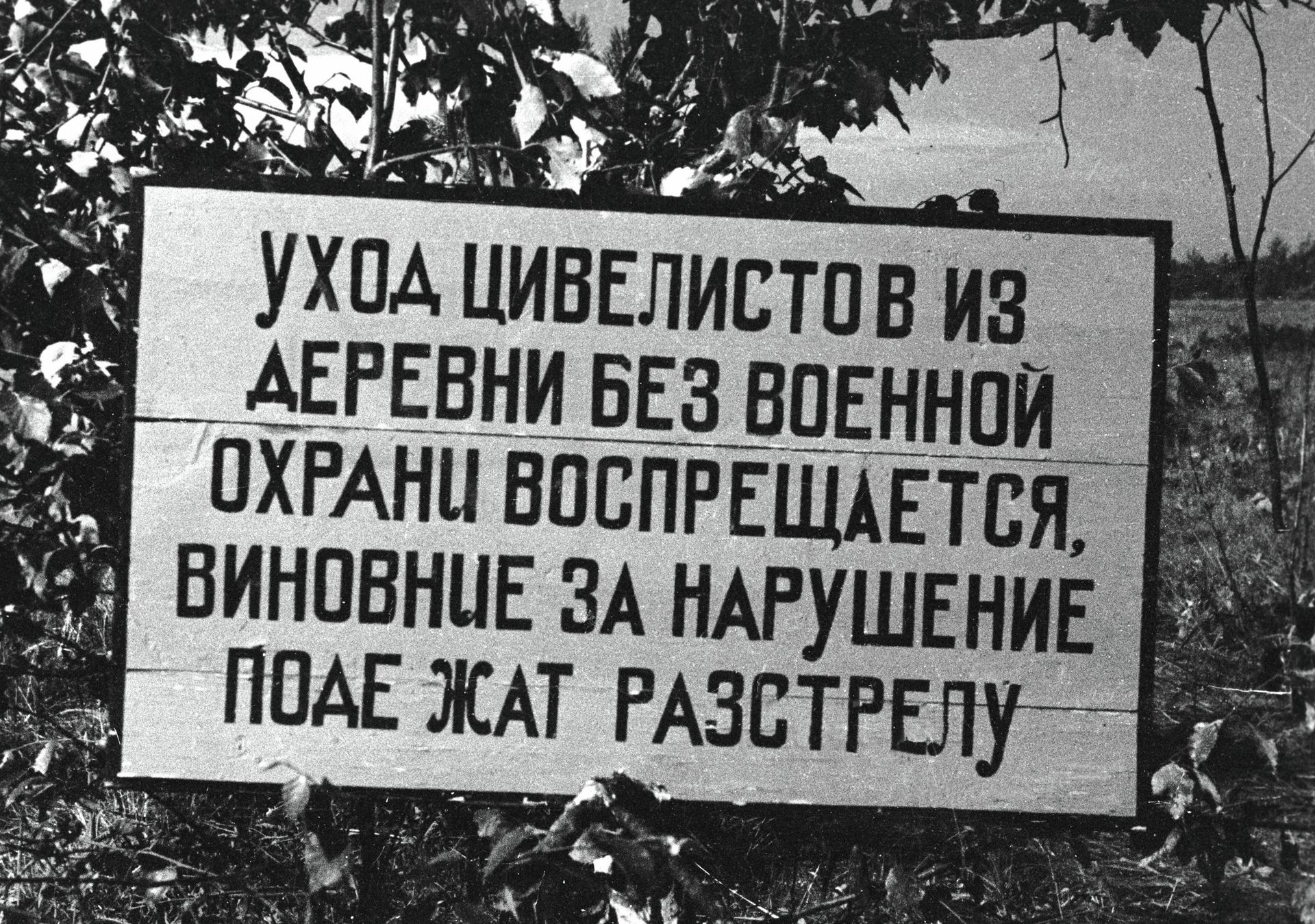 Карательные отряды СС, занимая город или деревню, вывешивали излюбленные немцами объявления Карательные отряды СС, занимая город или деревню, вывешивали излюбленные немцами объявления - РИА Новости, 1920, 04.09.2026