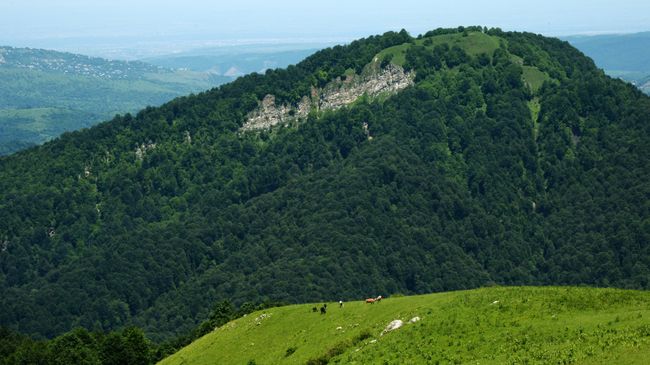 Горные районы Чечни Горные районы Чечни