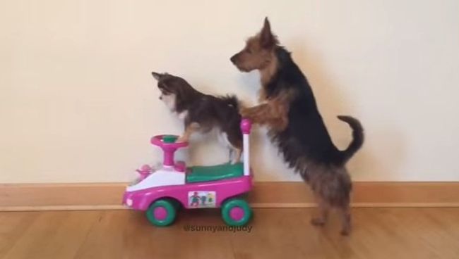 С ветерком