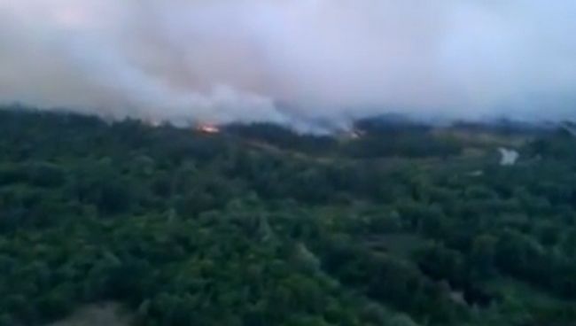 Густой дым пожара накрыл зону отчуждения под Чернобылем Густой дым пожара накрыл зону отчуждения под Чернобылем