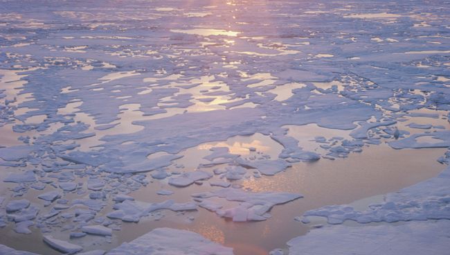 Лето в Арктике. Архивное фото Лето в Арктике. Архивное фото