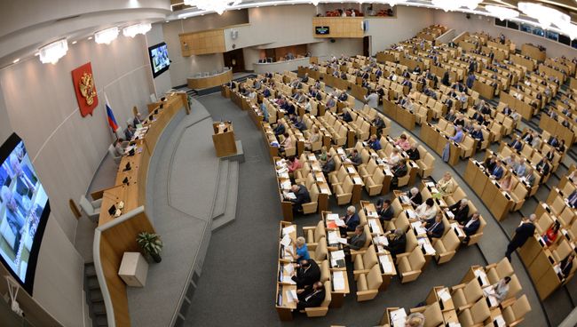 Пленарное заседание Госдумы РФ. Архивное фото